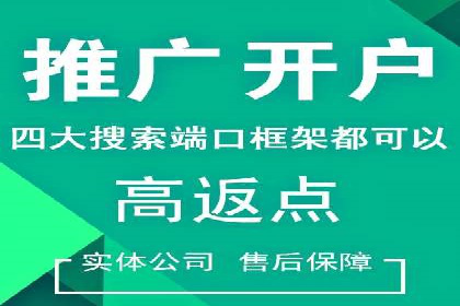 SEM推广实战：案例分析及优化建议